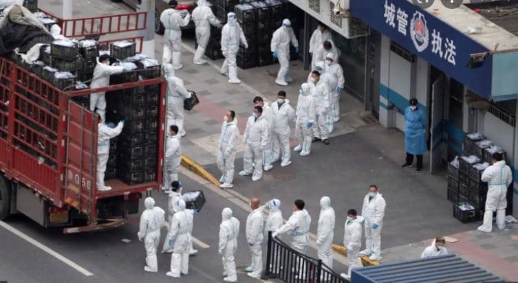 Kina e pushtuar nga Covid, grabitje prej mungesës së ushqimit në Shangai, mbyllen shkollat në Guangzhou