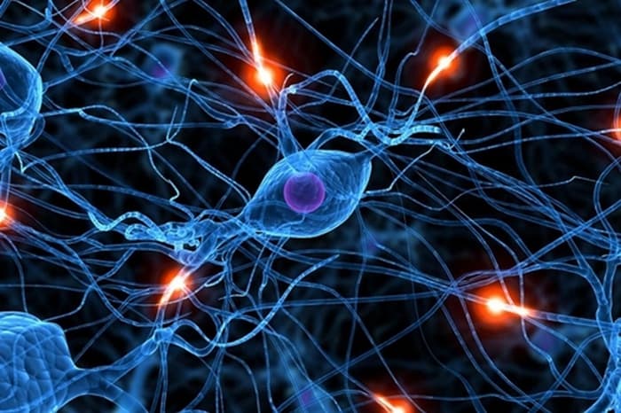 Shenja që tregon se mund të jeni prekur nga Parkinsoni
