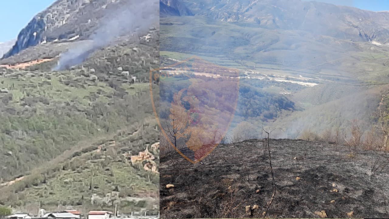 Ndezi zjarr në një pronë shtetërore, në pranga 59-vjeçari
