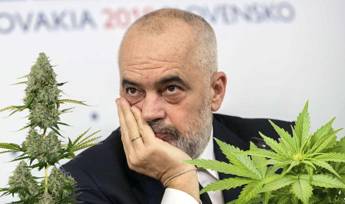 Përralla e madhe e kanabisit