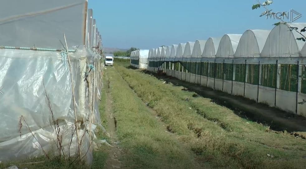  “Të bëhet vlerësim maksimal për tokën”, Rrapaj: 80 për qind e fermerëve mbështeten tek remitancat (VIDEO)