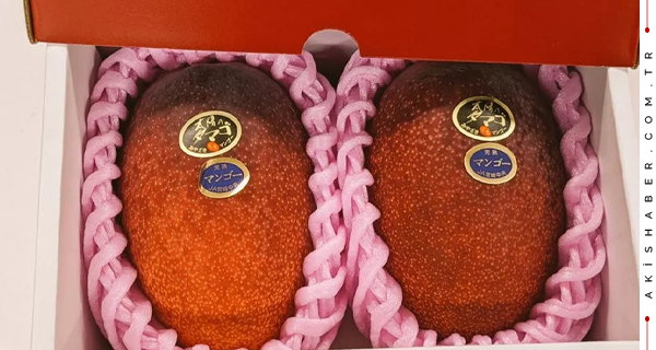 Japoni, dy mango shiten në ankand për 3650 euro