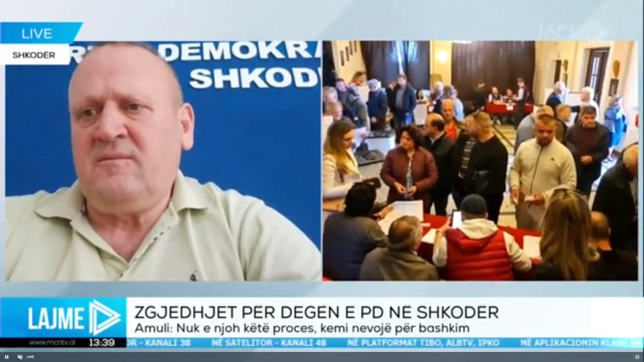 Krerët e degëve, Amuli: Zgjedhje alla Robin Hud, po na përçajnë (VIDEO)