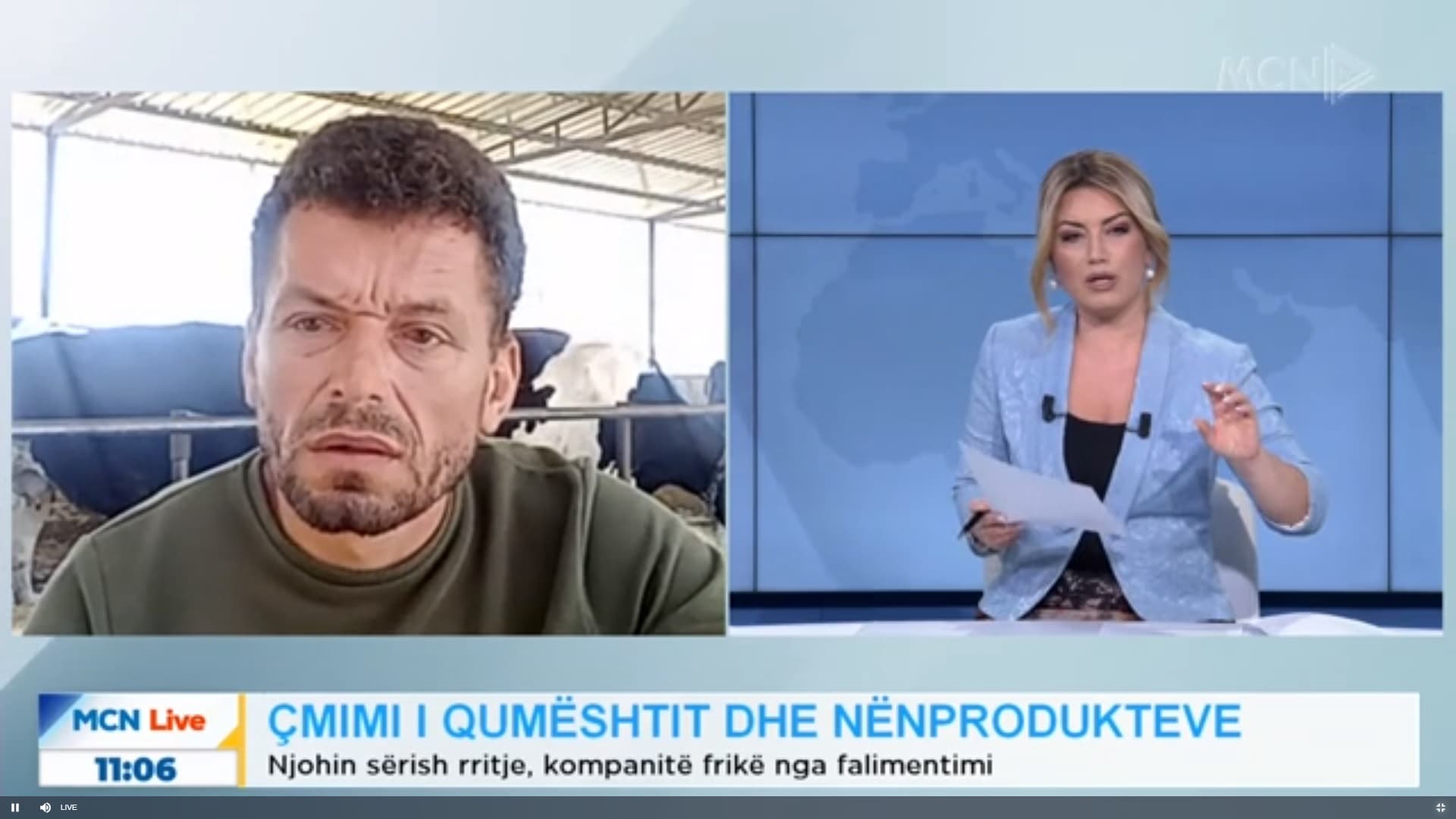 Rritja e çmimit të qumështit dhe nënprodukteve/ Çela: E pamundur të mbijetojmë, jemi në prag falimentimi (VIDEO)