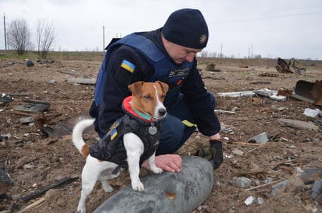 Zelensky vlerëson Patron, qenin që zbulon mina