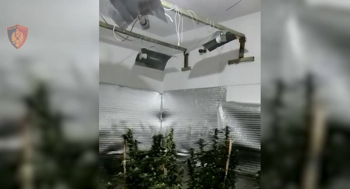 E ktheu banesën në "shtëpi bari", në pranga pronari/ Procedohet edhe faturistja e OSHEE-së