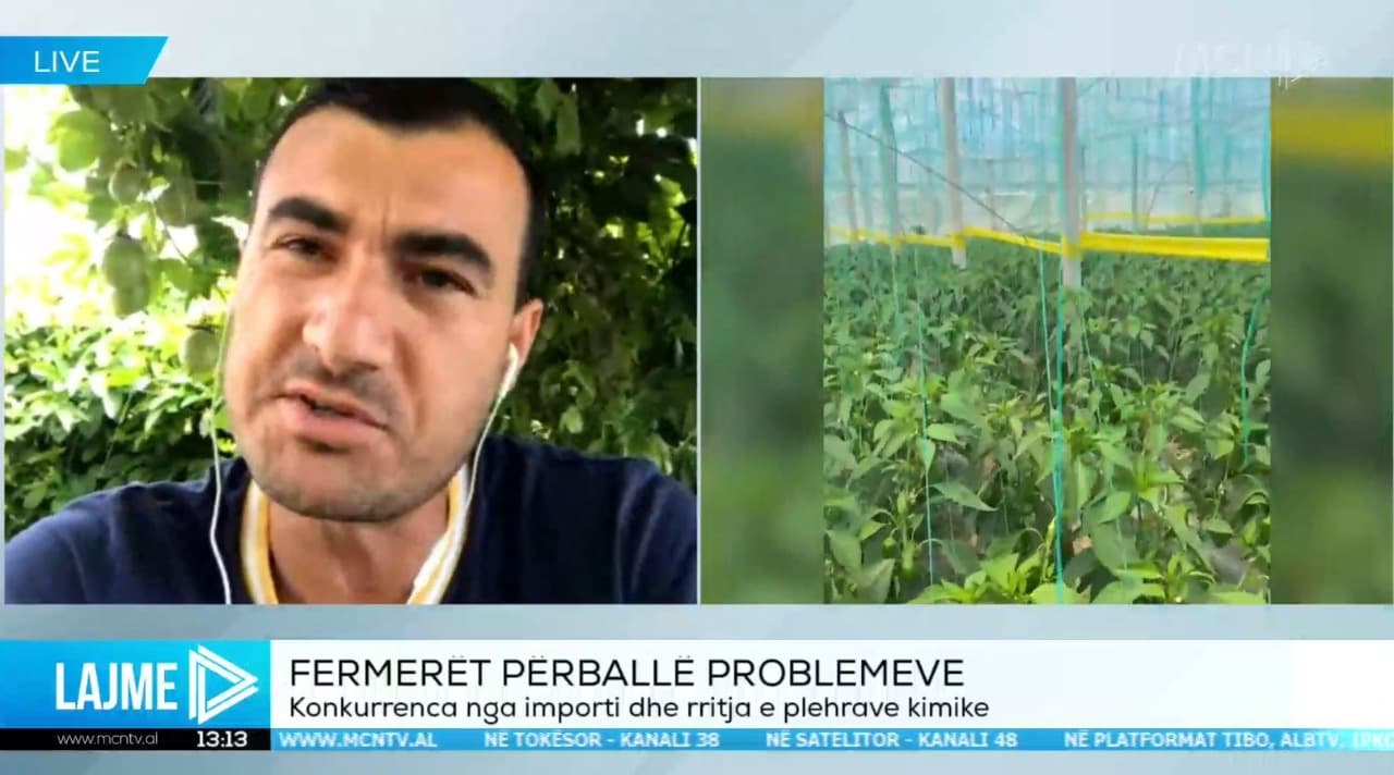 Çakalli: Do kemi krizë gruri dhe do jemi të varur nga jashtë! Krifca bën propagandë (VIDEO)