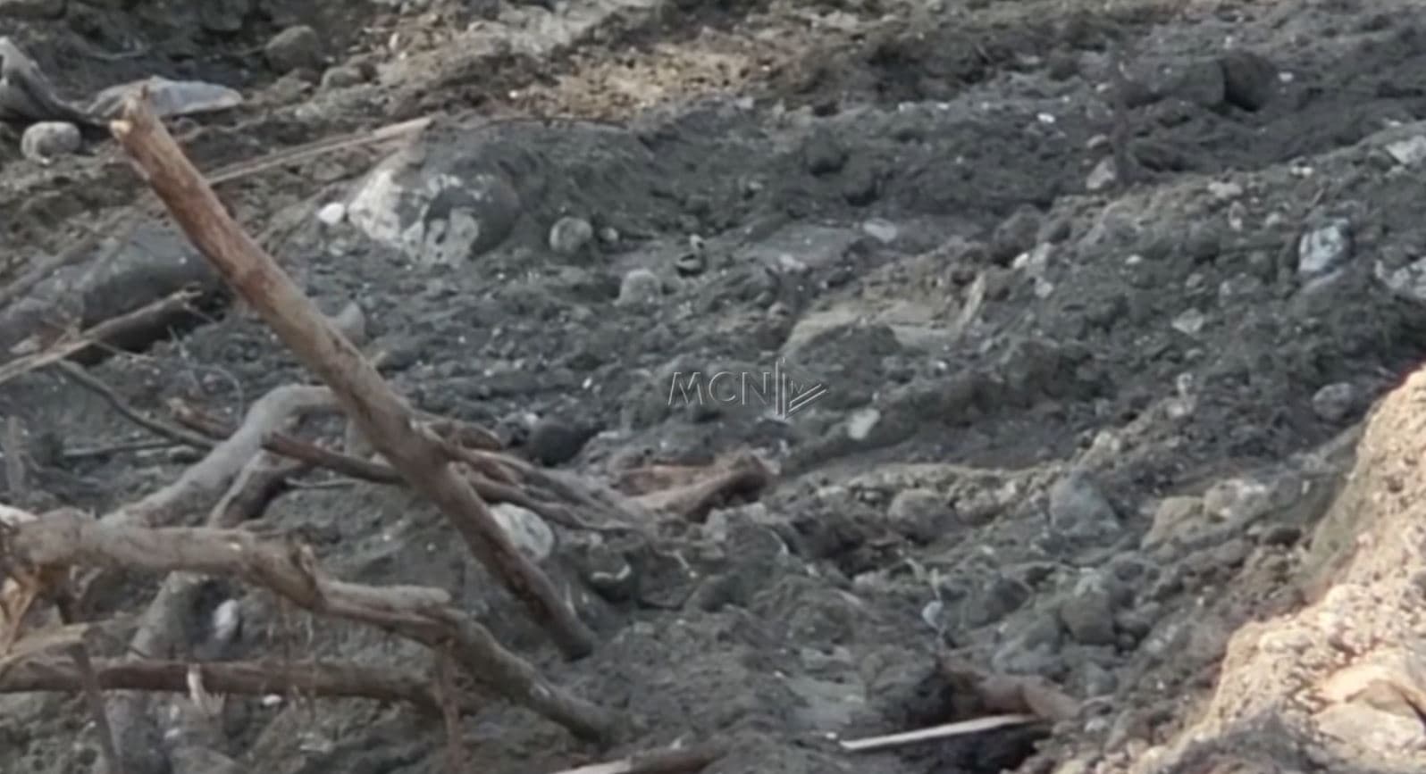 Vlorë, gjenden eshtra njeriu në Pyllin e Sodës (Video)