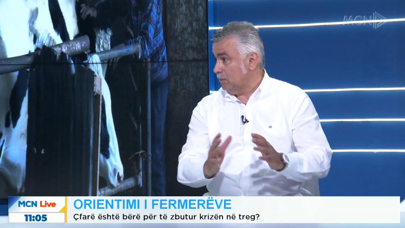 Orientimi i fermerëve/ Pilku: S’jemi konkurrues sepse informacioni i tregut është zero (VIDEO)