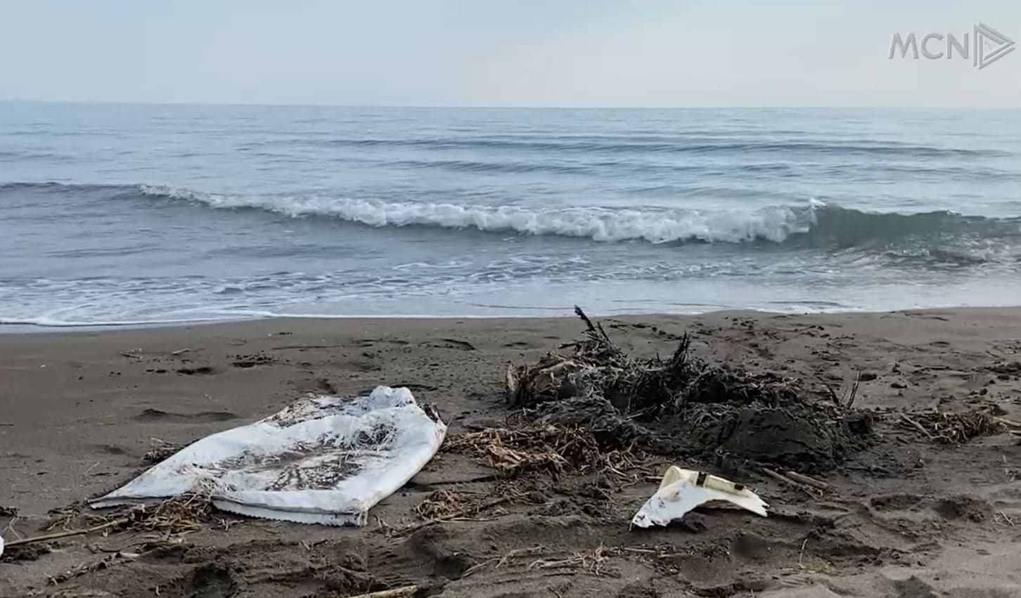 Sërish pula të ngordhura në bregdetin e Shëngjinit (VIDEO)