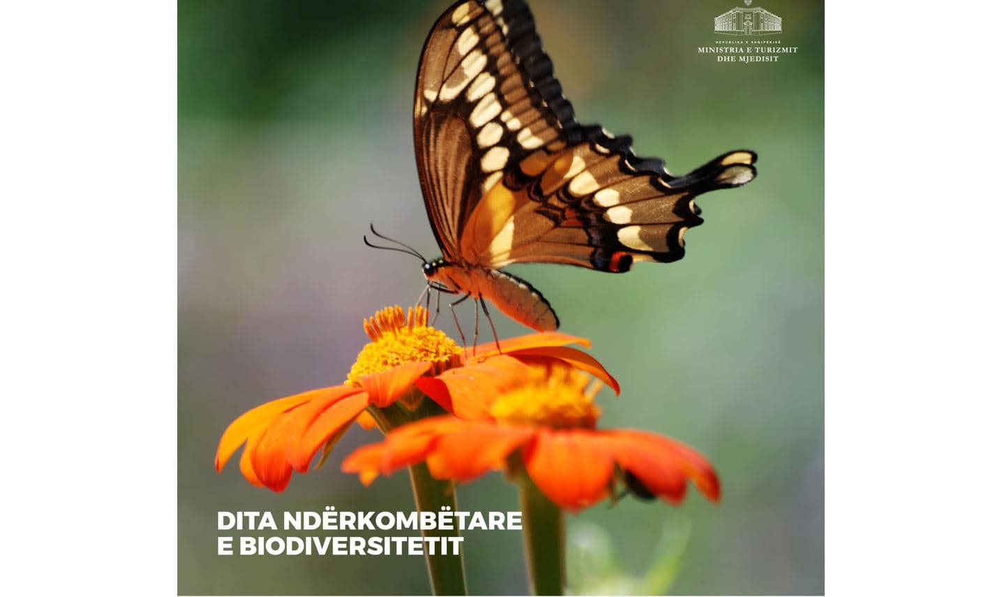  Dita Botërore e Biodiversitetit/ AKZM: Ditë që përfaqëson çdo element natyror të florës dhe faunës shqiptare