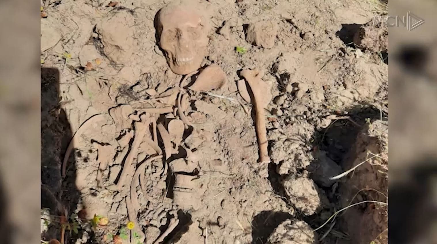 Gjendet një skelet njeriu në Ardenicë (Video)