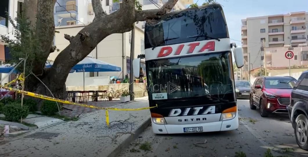  Vlorë/ Autobusi me turistë përplaset me pemën, dëme materiale në mjet (VIDEO)