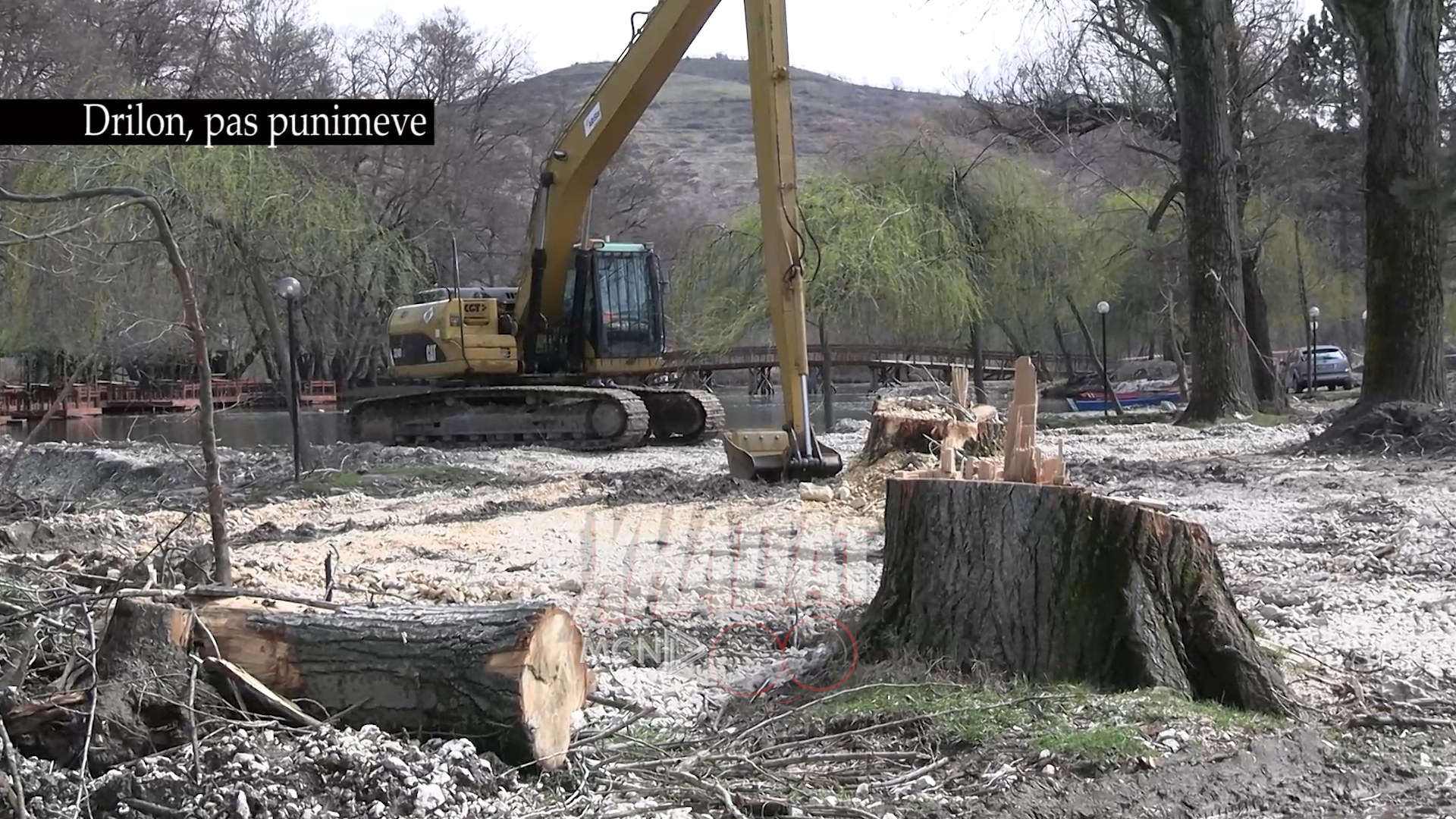 “Xhadat”- Projekti i ri i Drilonit po bën “kurban” pemët dekorative të parkut