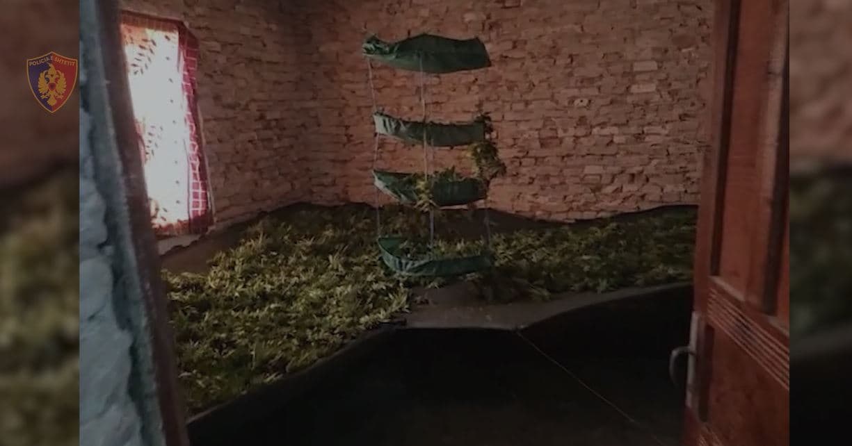 Zbulohet “shtëpia e barit” në Mamurras, në pranga një person/ Emri