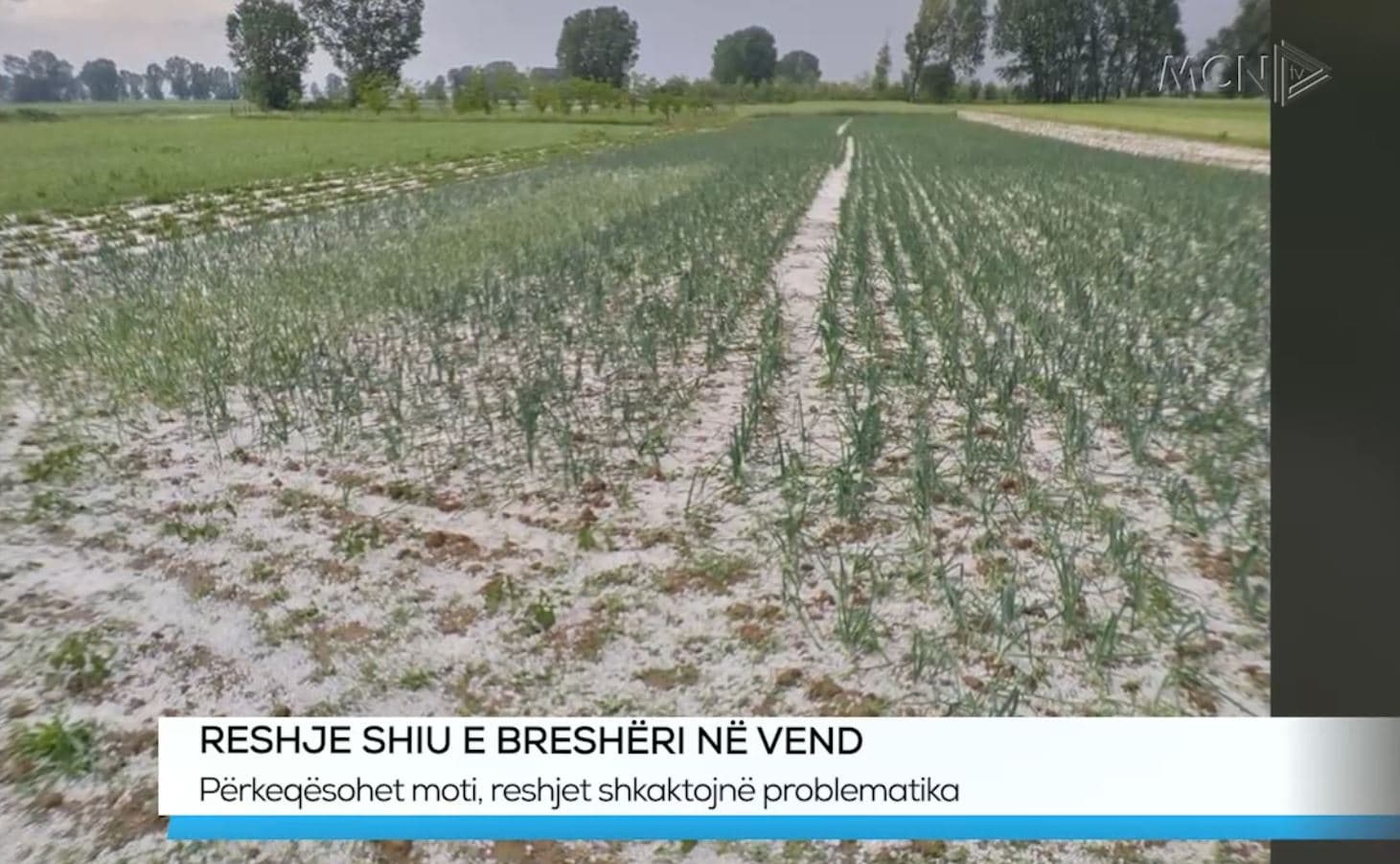 Reshje shiu e breshëri në vend/ Përkeqësohet moti, vështirësohet lëvizja (VIDEO)