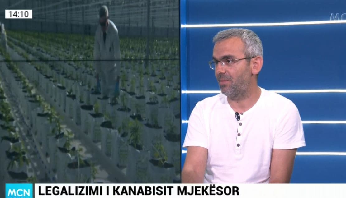 Legalizimi i kanabisit, Karaj: Qeveria nuk ka ide dhe plan konkret, kapacitetet farmaceutike të pamjaftueshme