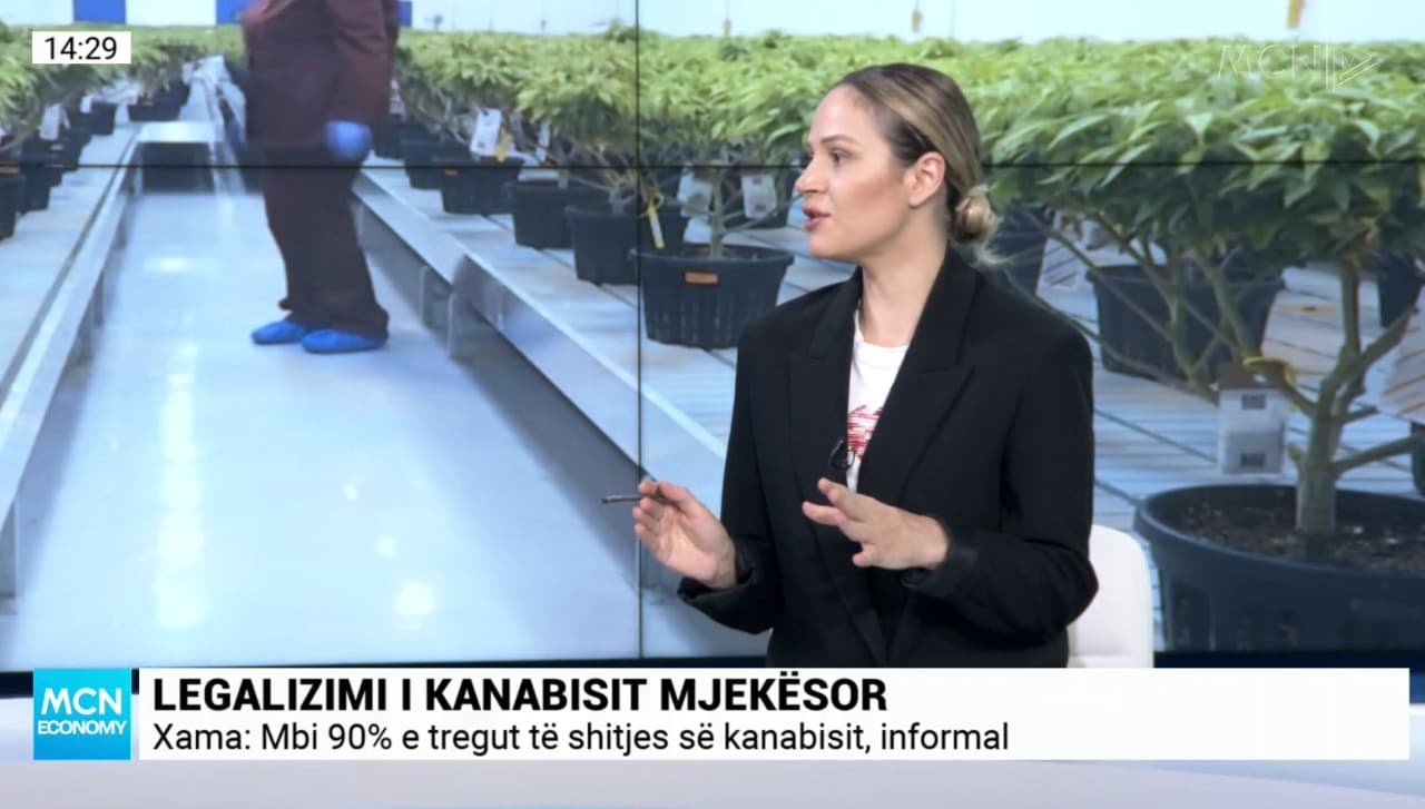 “S’ka orientim dhe studim”, Xama: Legalizimi i kanabisit mjekësor, një treg me shumë risqe