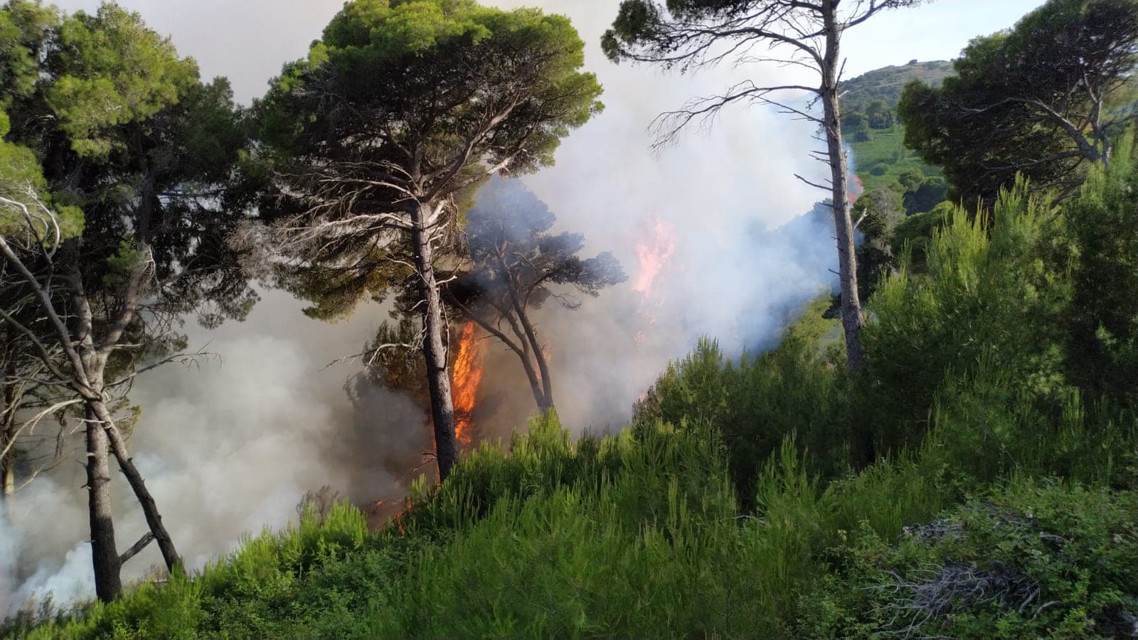 76 milionë euro për helikopterët Cougar, flakët në Sazan luftohen me mjete rrethanore
