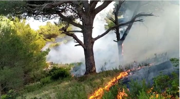 Video/ Ishulli i Sazanit prej 3 ditësh në flakë, vatrat e zjarrit ende aktive