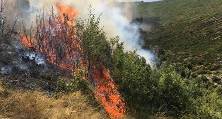 Përfshihet nga flakët masivi pyjor pranë Rrugës së Kombit