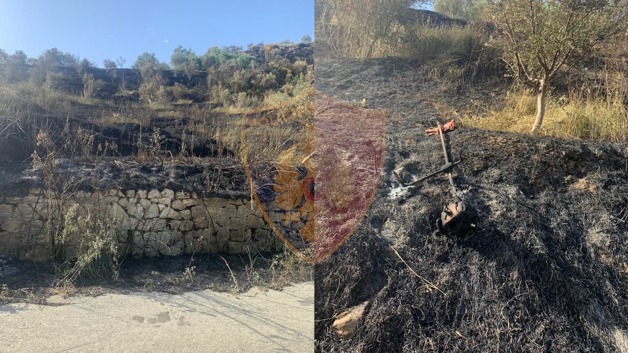  Dogji arën me pemë ulliri, procedohet penalisht 66-vjeçari në Fier