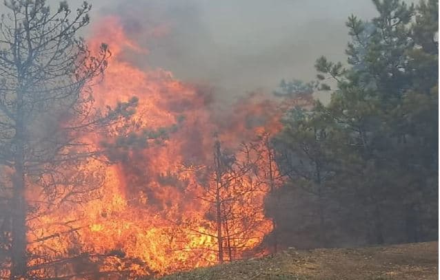 Mirditë, shuhet zjarri në fshatin Elegjin