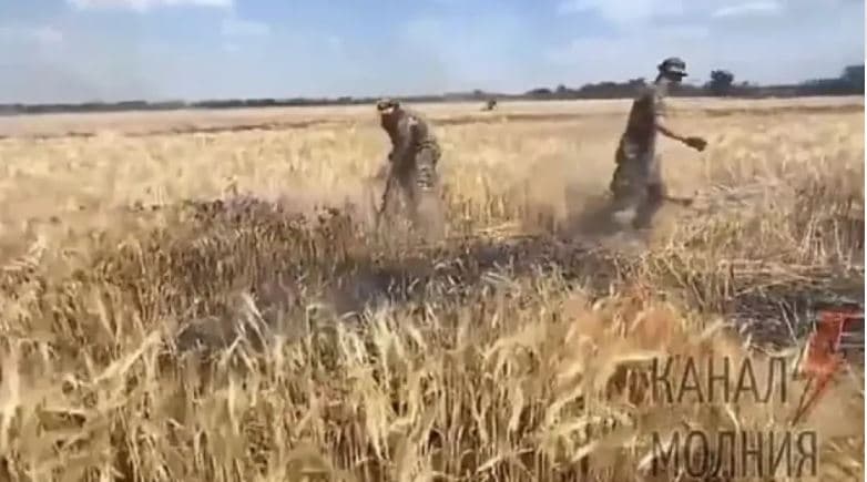 Ankthi për krizën ushqimore/ Rusët djegin arat me grurë në Ukrainë (Video)