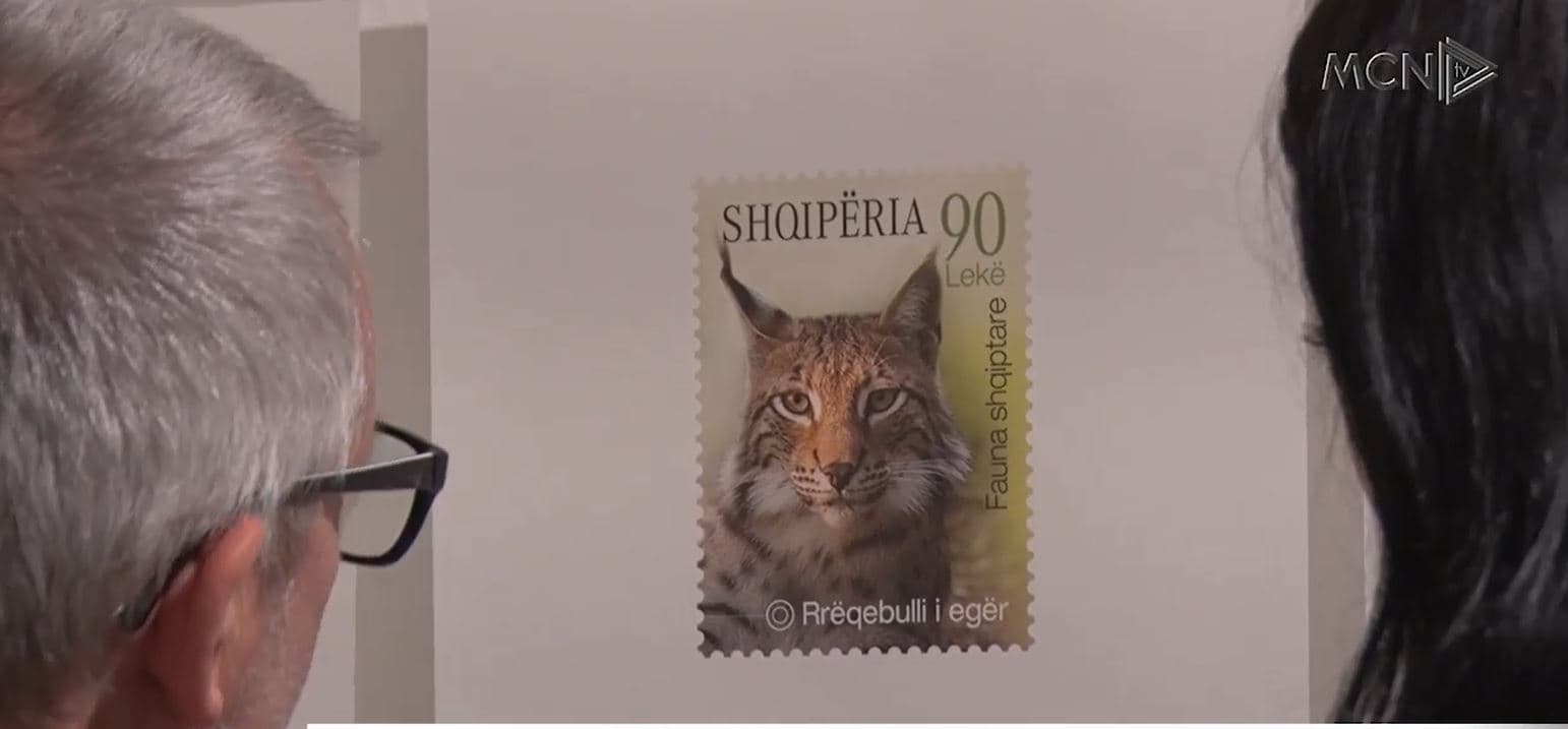 “Acta urbana”/ Piktori dhe grafisti Petraq Papa çel ekspozitën në Galerinë FAB (VIDEO)