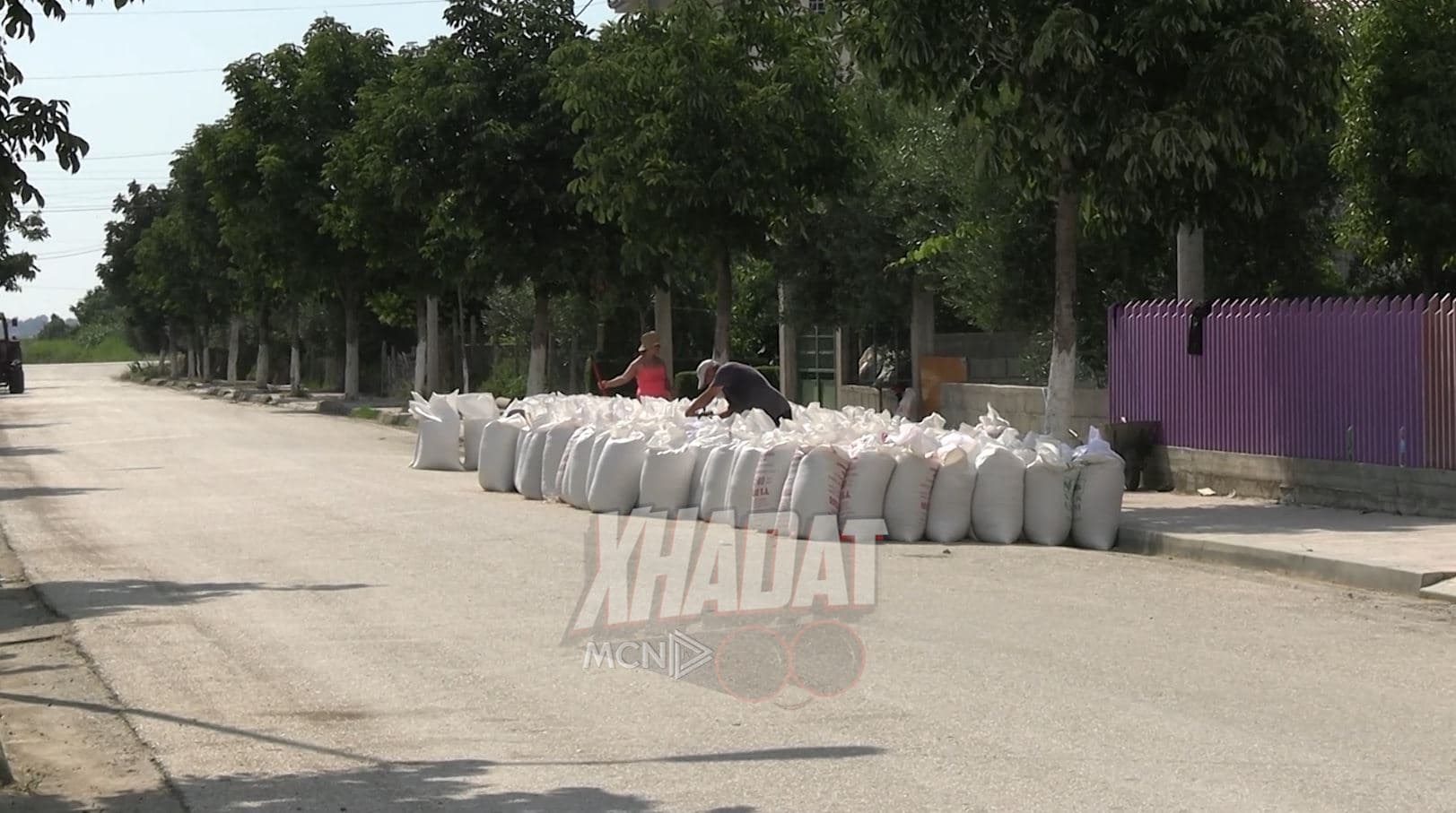 ‘Xhadat’ - Vendgrumbullimit të drithërave bujqësore i del pronari, Bashkia Divjakë asnjë zgjidhje për fermerët