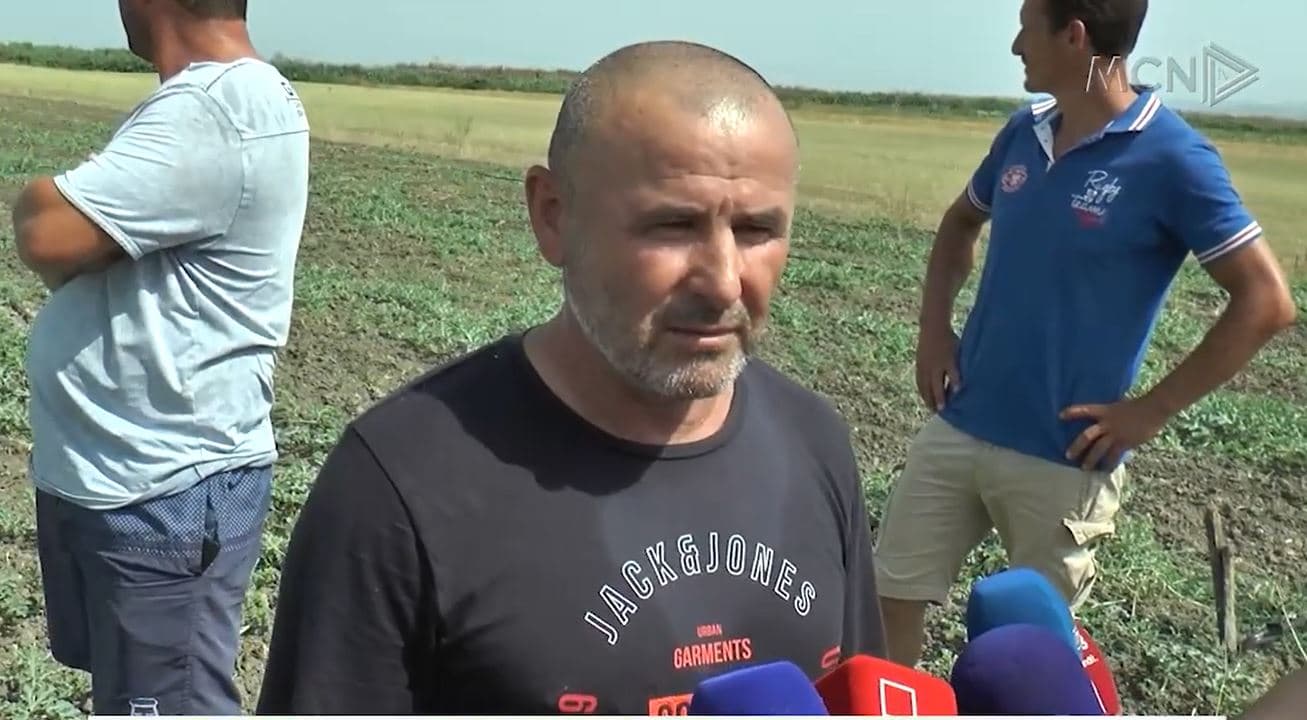 Karkaleci dëmton shalqirin e Divjakës (VIDEO)