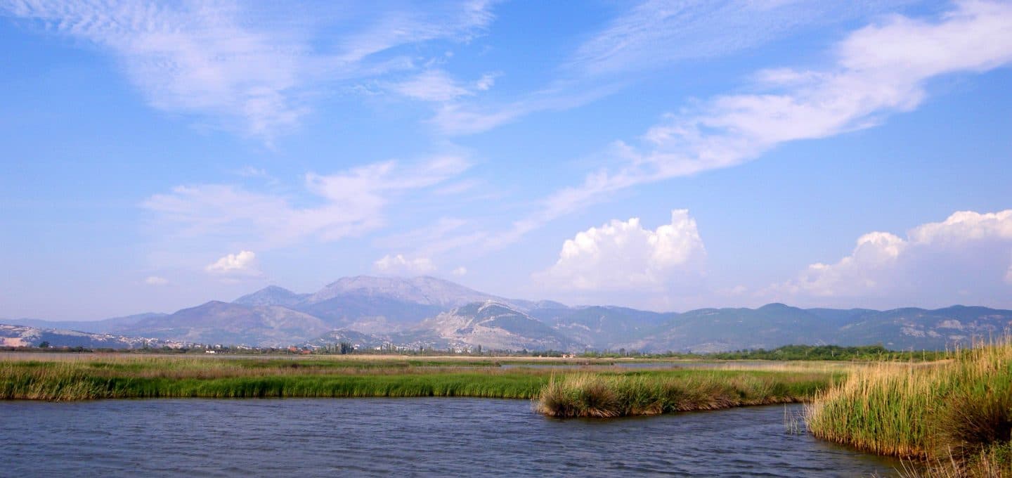 “Tjetërsimi i Lagunës” në Kune Vain, vihet në pranga i shpalluri në kërkim