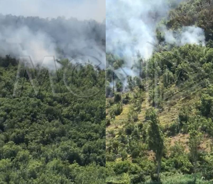 Zjarr në malin e Torovicës, digjen 15 hektarë pyje (Video)