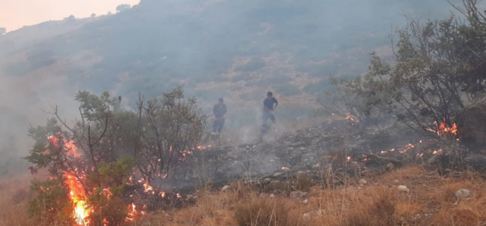 Temperaturat e larta, Instituti i Gjeoshkencave paralajmëron rrezik zjarri në dy qarqe