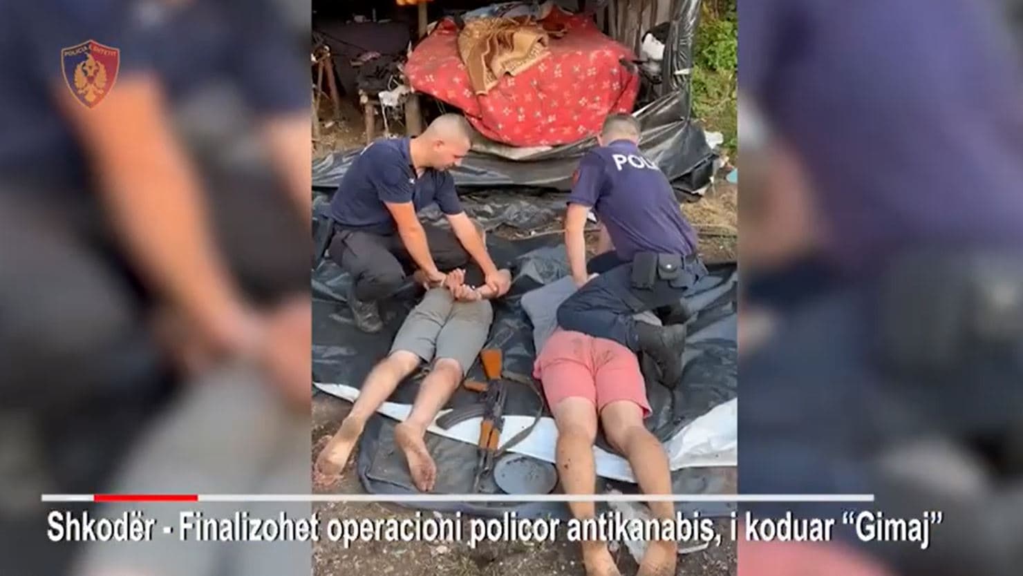 Zbulohet me anë të dronit parcela me kanabis në Shkodër, arrestohen dy të rinj