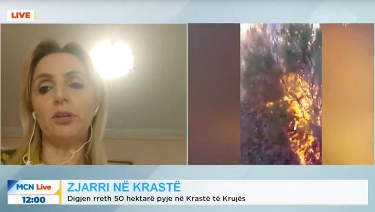 Zjarret në Krastë/ Bakiu: Po digjet mushkëria e Krujës! Duhet ndërhyrje nga ajri (VIDEO)