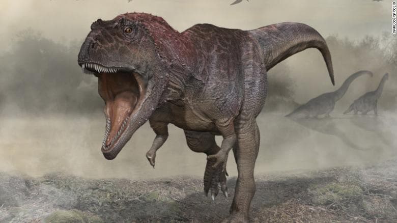 Zbulohen specie të reja dinosaurësh me krahë të vegjël si T. rex