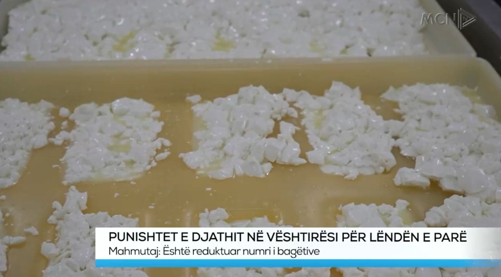 Punishtet e djathit në vështirësi për lëndën e parë (VIDEO)