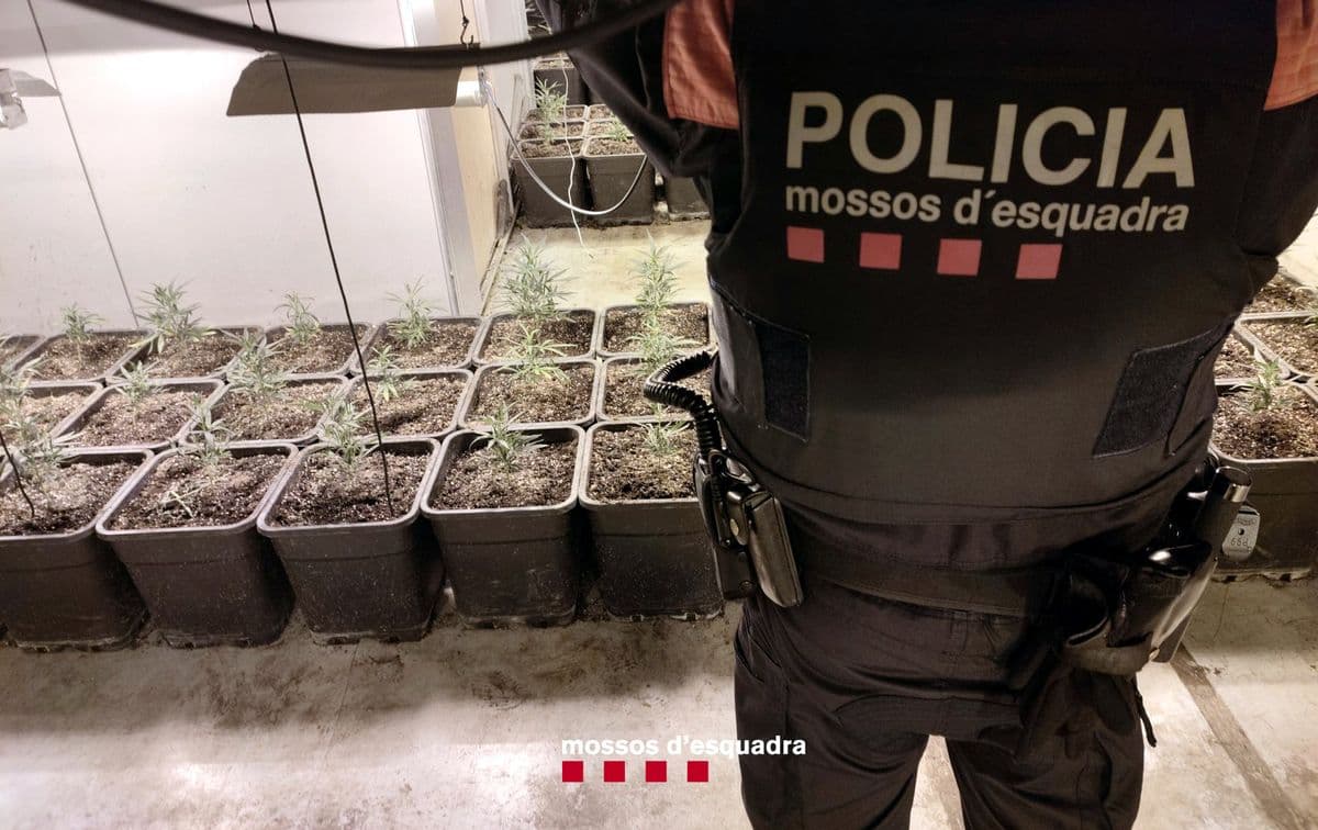 “Shtëpi bari” në Spanjë, shkatërrohet banda e shqiptarëve