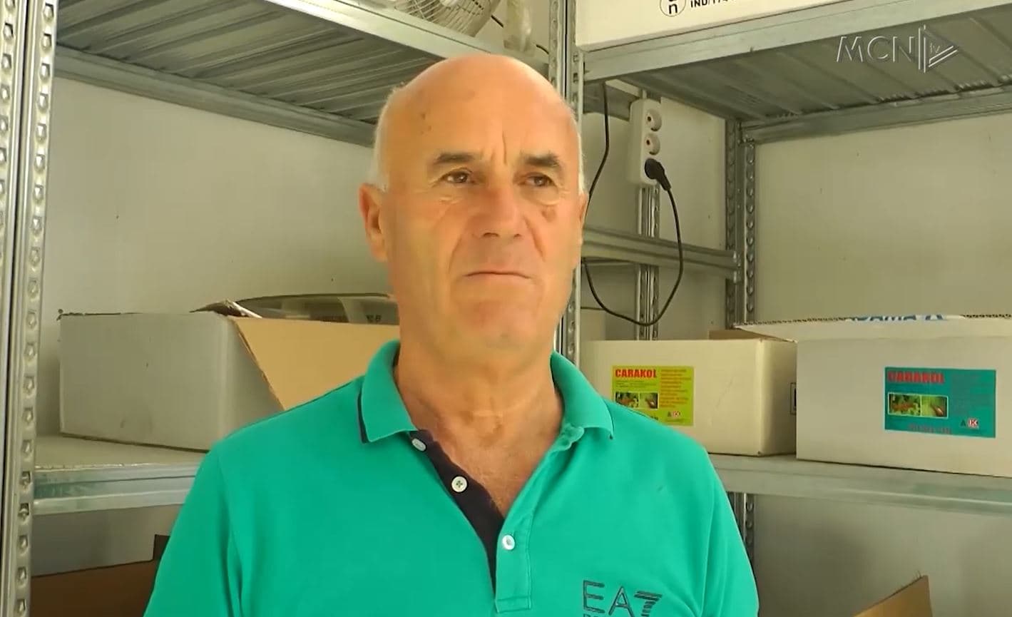 Karkalecat dëmtojnë të mbjellat në Dumre, fermerët: Të ndërhyjë Ministria e Bujqësisë dhe pushteti lokal (VIDEO)