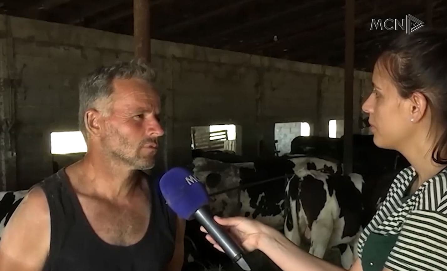 Ferma të mbyllura, fermerët drejt ikjes (VIDEO)