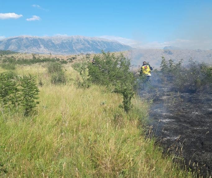 Zjarr i madh në Memaliaj, digjet mbi 2 ha tokë bujqësore dhe kullotë