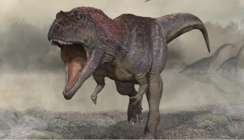 Zbulohet një specie e re dinozauri në Argjentinë