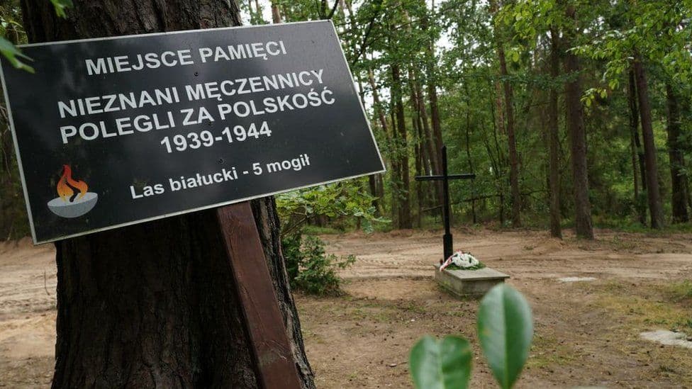 Gjendet hiri i 8000 viktimave naziste në një varr masiv në Poloni