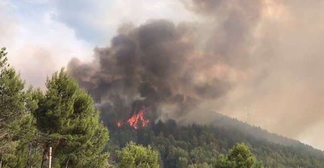 Temperaturat e larta, Instituti i Gjeoshkencave paralajmëron rrezik të lartë për zjarre në tre zona