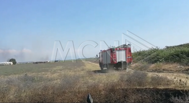 Mbi 15 vatra zjarri përfshijnë fushën e Myzeqesë, digjen 5 stane (Video)