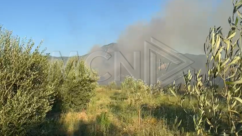 Zjarr në Piraj të Lezhës, shkrumbohen traversat e linjës hekurudhore, rrezikohen dhe disa banesa