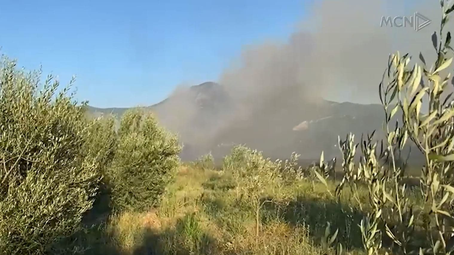Lezha nën “pushtetin” e zjarreve/ Digjet hekurudha dhe vreshtaria në Piraj (VIDEO)