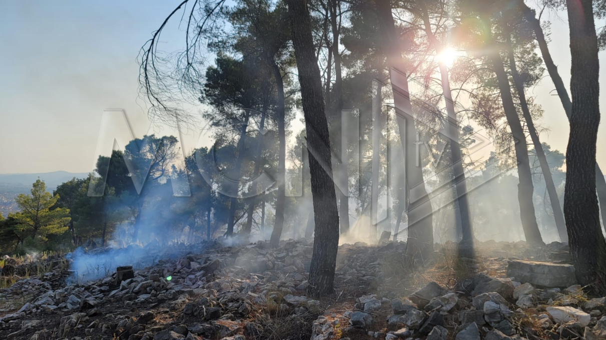 Përfshihet sërish nga flakët Kodër Krasta në Elbasan (VIDEO)