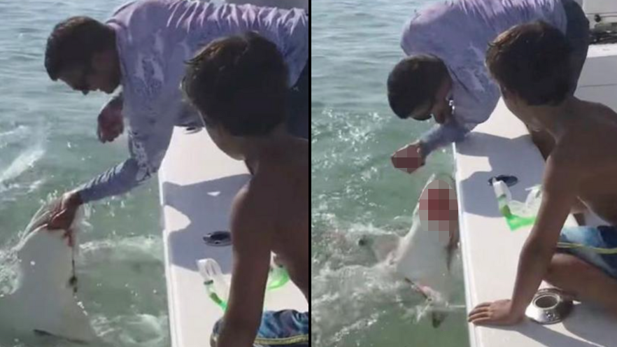 Peshkaqeni sulmon peshkatarin dhe i këput gishtin, pamjet e frikshme postohen në TikTok (VIDEO)